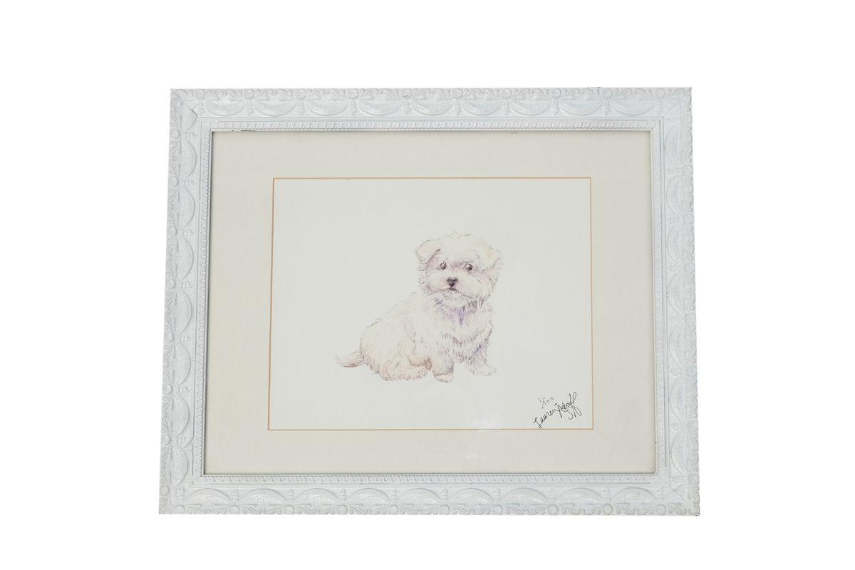 Alexandre Art-Little Puppy