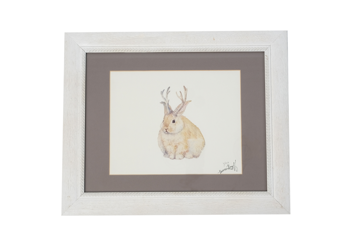 Alexandre Art-Rabbit