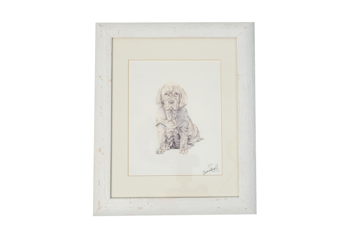 Alexandre Art-Sitting Dog